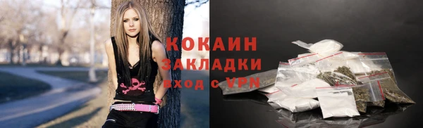 крисы Армянск