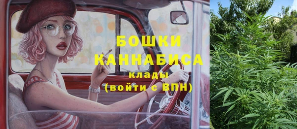 крисы Армянск