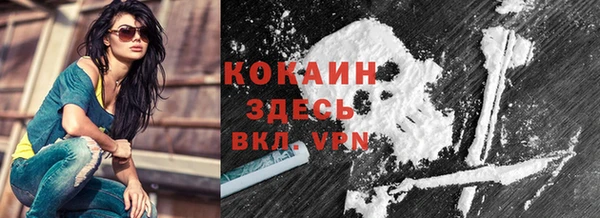 крисы Армянск