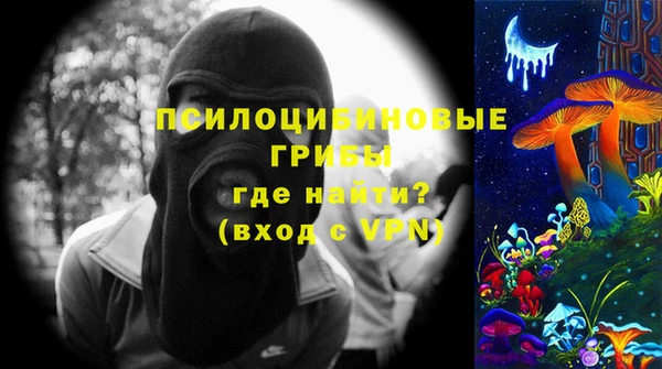 бошки Аркадак