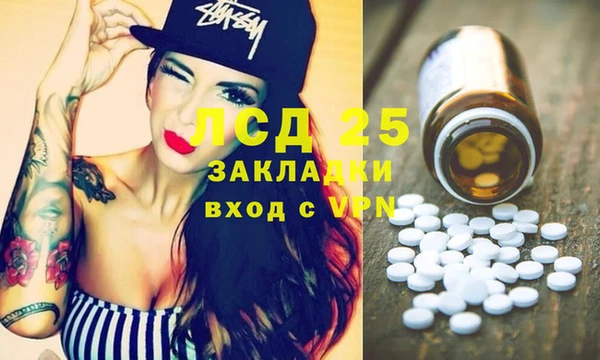 индика Балахна