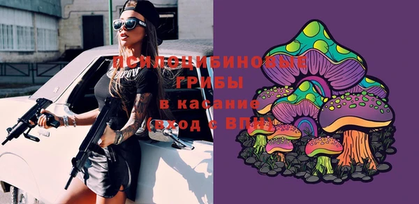 индика Балахна