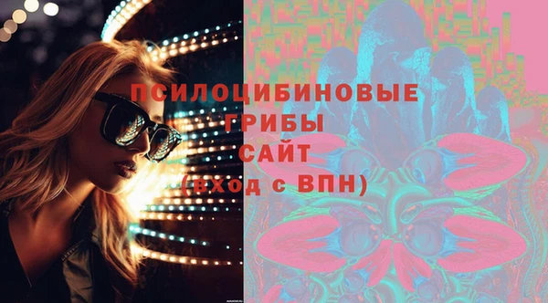бошки Аркадак