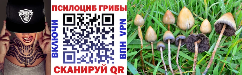 дарнет шоп  Тейково  OMG ТОР  Галлюциногенные грибы Magic Shrooms 